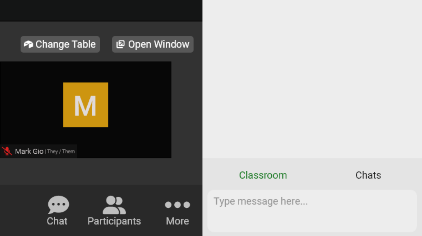 close up of how the messaging is seperated for class and direct messaging